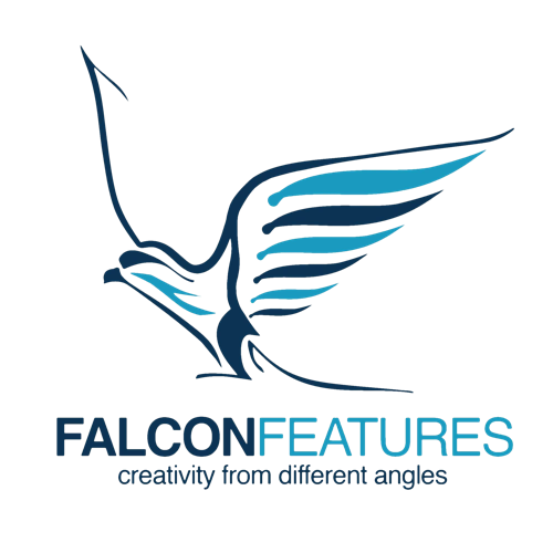 falcon falcon